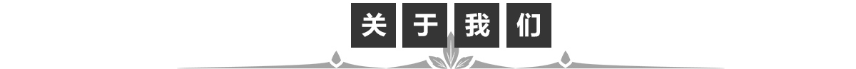 公司簡介